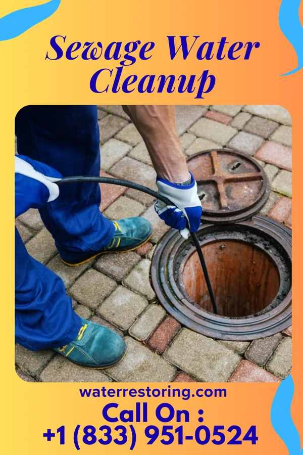 Sewage Water Cleanup in Hampton, AR